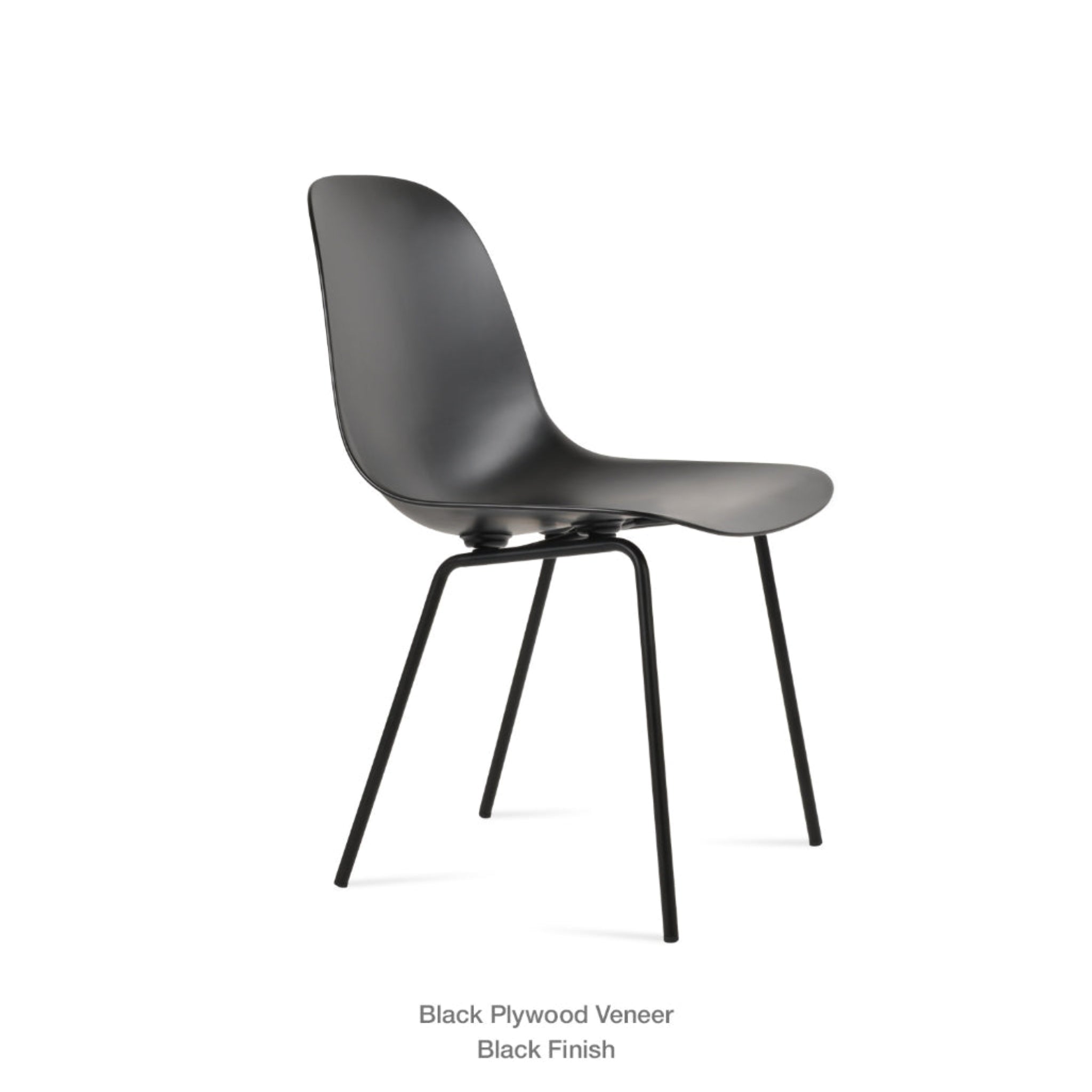Typhoon Dining Chair